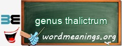 WordMeaning blackboard for genus thalictrum